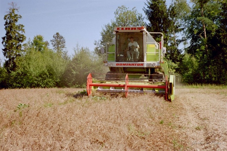 Claas Drescher 19
